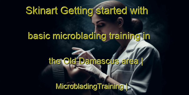 Skinart Getting started with basic microblading training in the Old Damascus area | MicrobladingTraining | MicrobladingClasses | SkinartTraining-United States